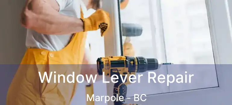  Window Lever Repair Marpole - BC