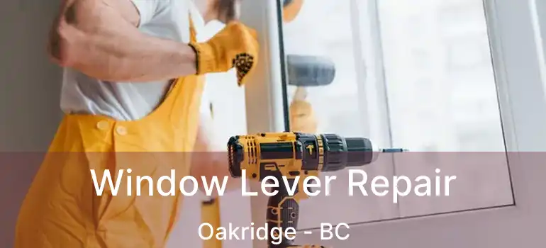  Window Lever Repair Oakridge - BC