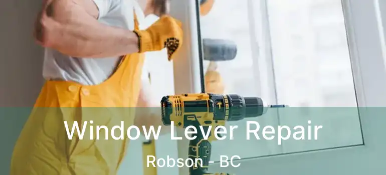 Window Lever Repair Robson - BC