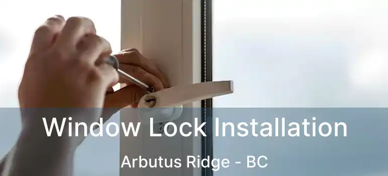  Window Lock Installation Arbutus Ridge - BC