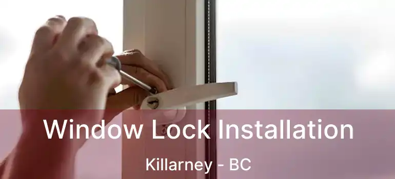  Window Lock Installation Killarney - BC