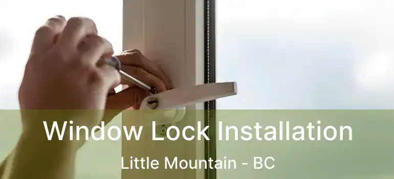  Window Lock Installation Little Mountain - BC