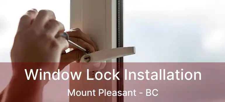  Window Lock Installation Mount Pleasant - BC