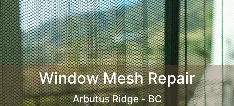  Window Mesh Repair Arbutus Ridge - BC