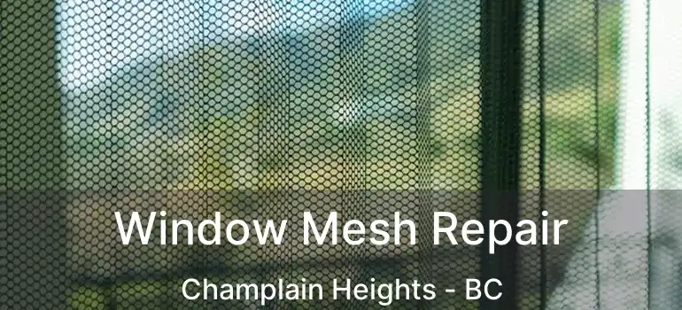  Window Mesh Repair Champlain Heights - BC