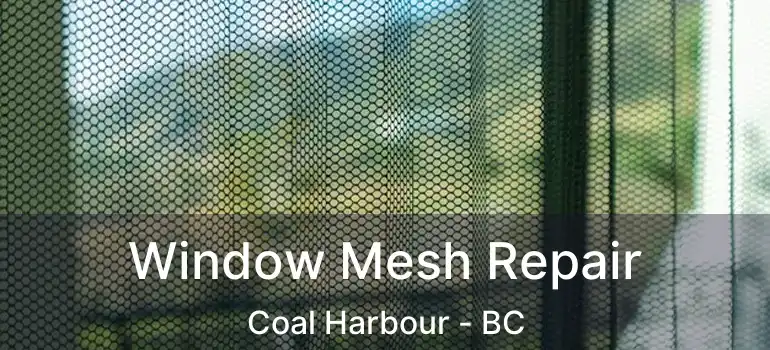  Window Mesh Repair Coal Harbour - BC