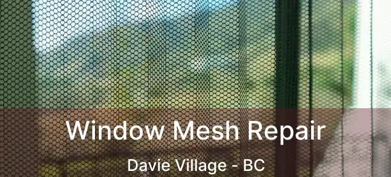  Window Mesh Repair Davie Village - BC