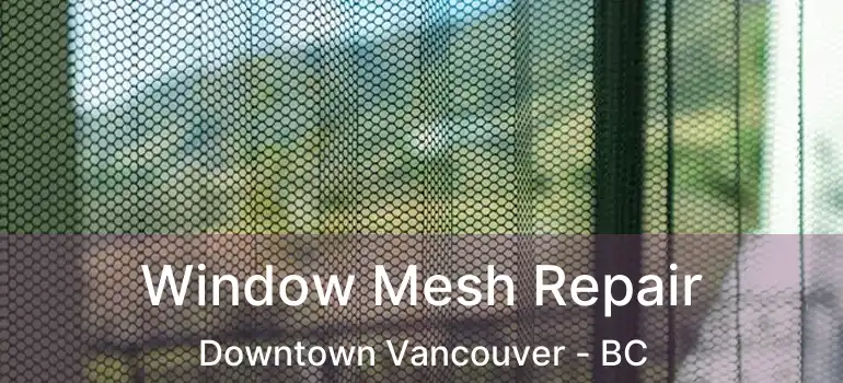  Window Mesh Repair Downtown Vancouver - BC