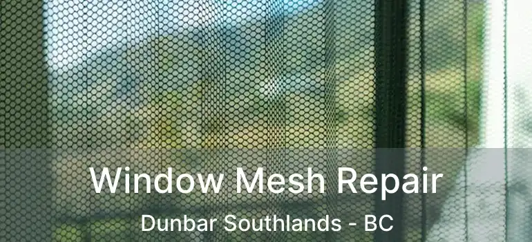  Window Mesh Repair Dunbar Southlands - BC