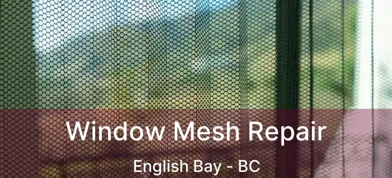  Window Mesh Repair English Bay - BC
