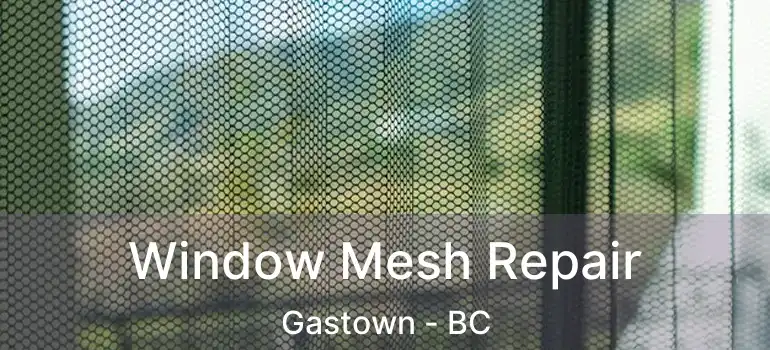  Window Mesh Repair Gastown - BC