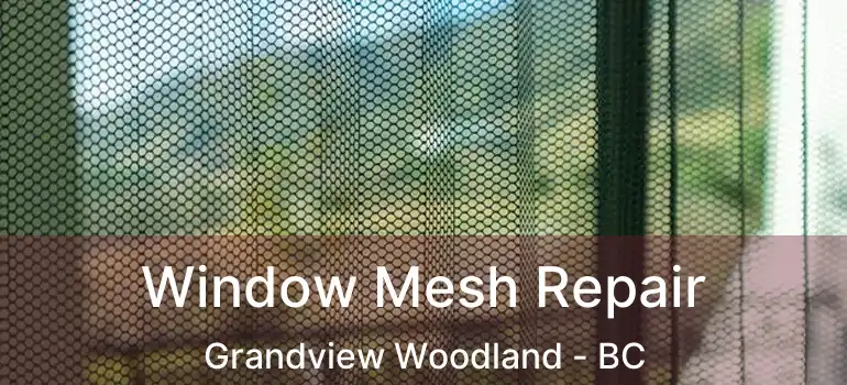  Window Mesh Repair Grandview Woodland - BC