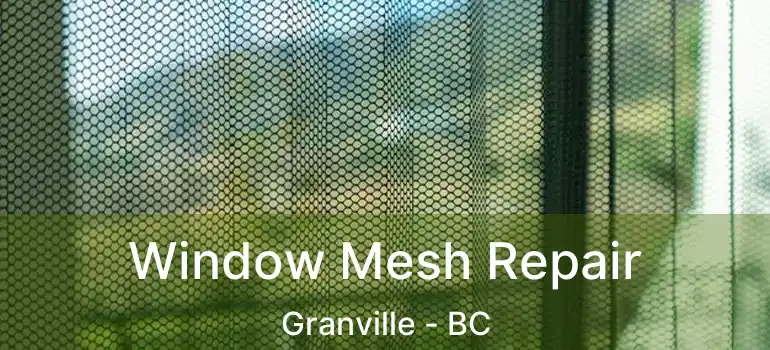  Window Mesh Repair Granville - BC