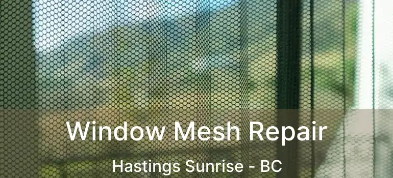  Window Mesh Repair Hastings Sunrise - BC