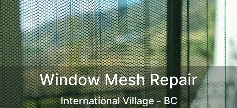  Window Mesh Repair International Village - BC
