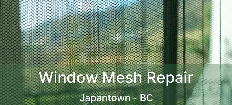  Window Mesh Repair Japantown - BC
