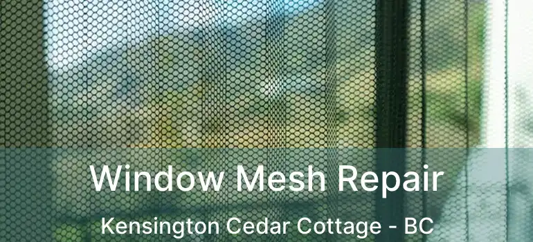  Window Mesh Repair Kensington Cedar Cottage - BC