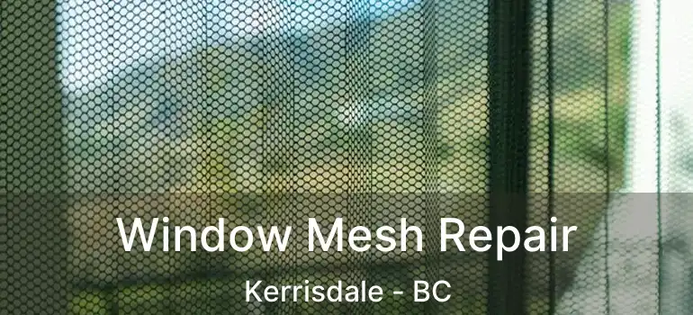  Window Mesh Repair Kerrisdale - BC