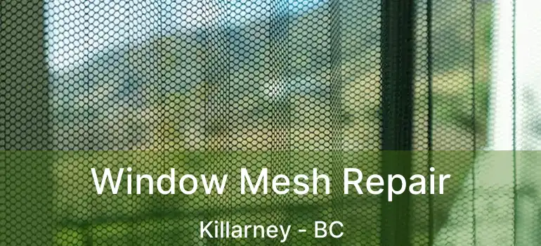  Window Mesh Repair Killarney - BC