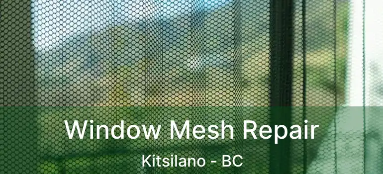  Window Mesh Repair Kitsilano - BC