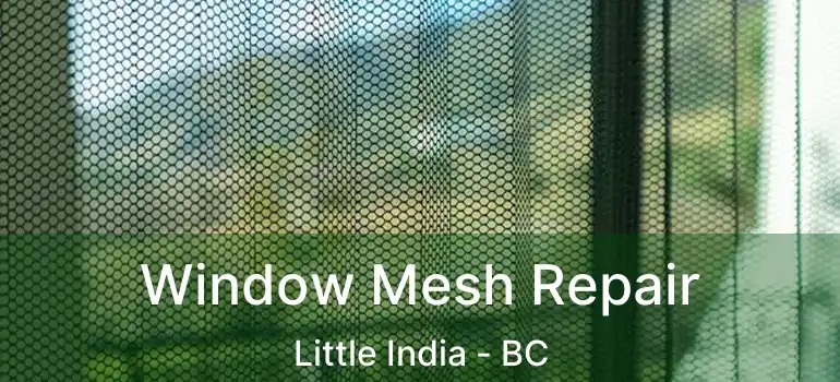  Window Mesh Repair Little India - BC