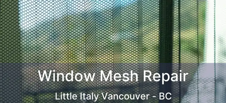  Window Mesh Repair Little Italy Vancouver - BC