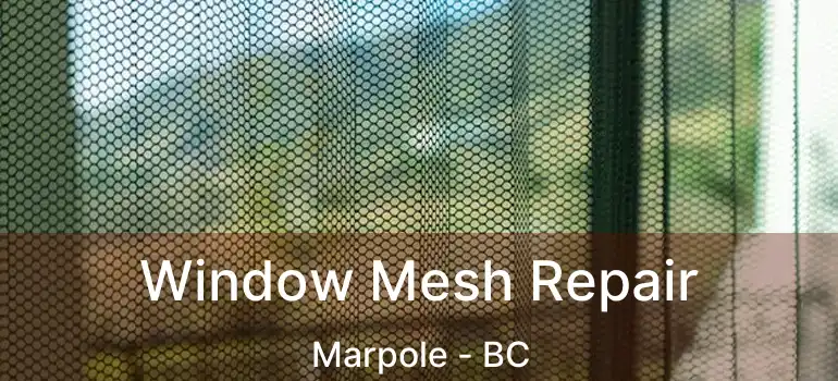  Window Mesh Repair Marpole - BC