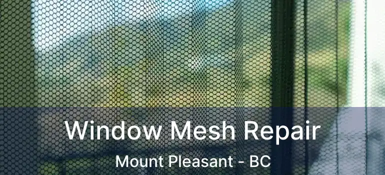 Window Mesh Repair Mount Pleasant - BC