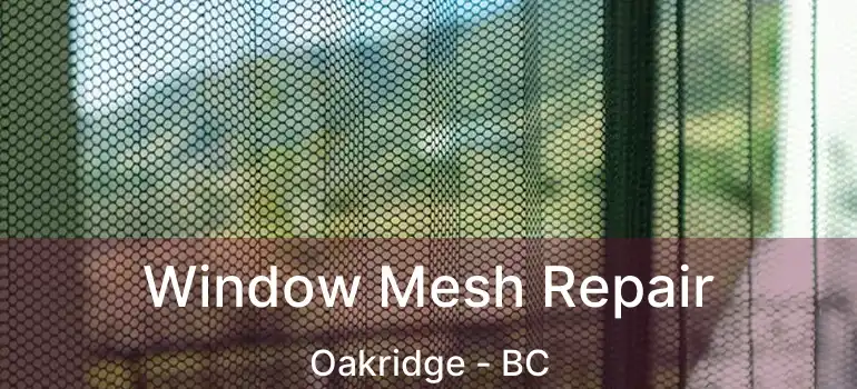  Window Mesh Repair Oakridge - BC