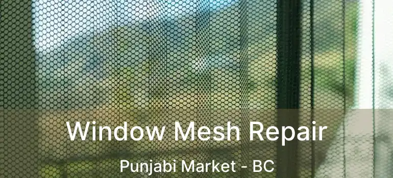  Window Mesh Repair Punjabi Market - BC