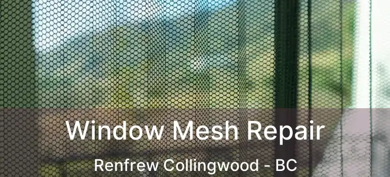  Window Mesh Repair Renfrew Collingwood - BC