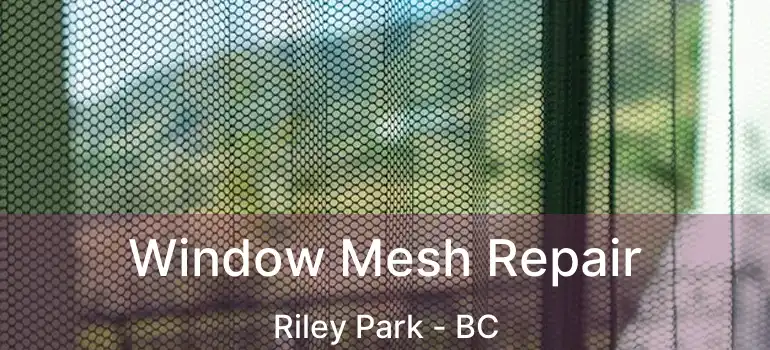  Window Mesh Repair Riley Park - BC