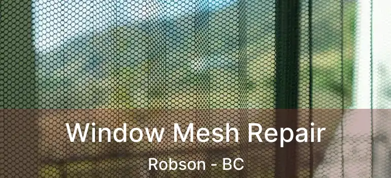  Window Mesh Repair Robson - BC