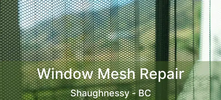  Window Mesh Repair Shaughnessy - BC