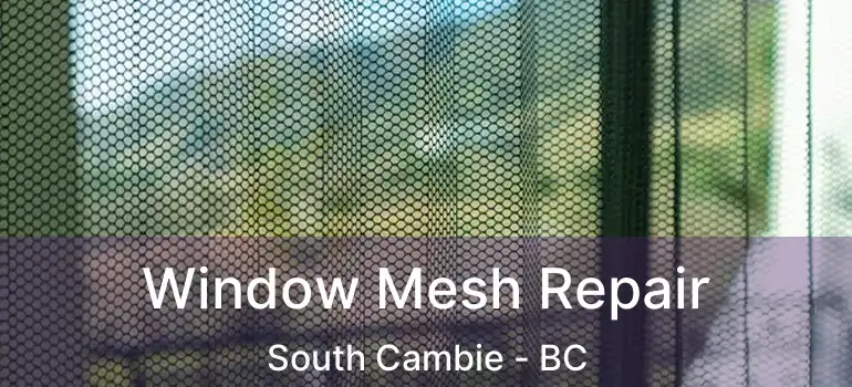  Window Mesh Repair South Cambie - BC