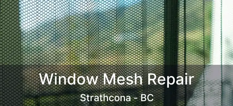  Window Mesh Repair Strathcona - BC