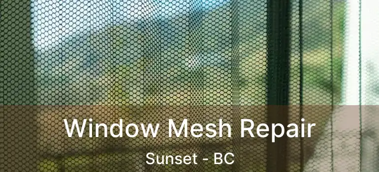 Window Mesh Repair Sunset - BC