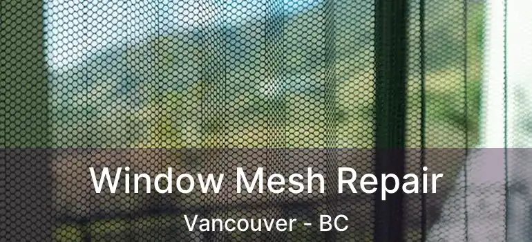  Window Mesh Repair Vancouver - BC