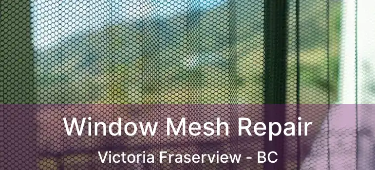  Window Mesh Repair Victoria Fraserview - BC