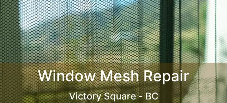  Window Mesh Repair Victory Square - BC