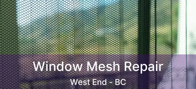  Window Mesh Repair West End - BC