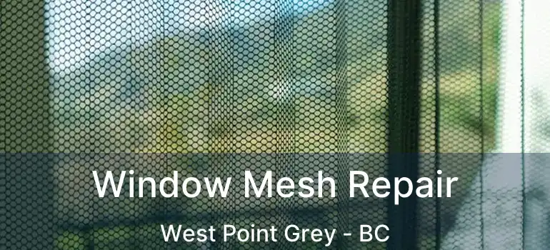  Window Mesh Repair West Point Grey - BC