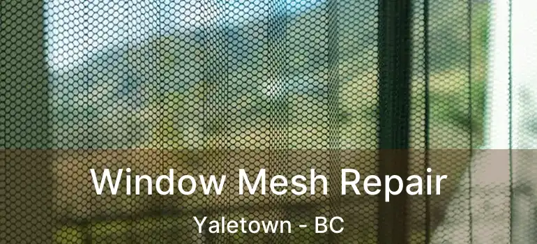  Window Mesh Repair Yaletown - BC