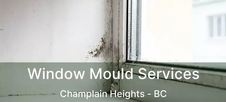  Window Mould Services Champlain Heights - BC