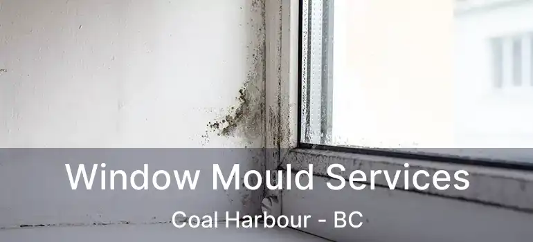  Window Mould Services Coal Harbour - BC