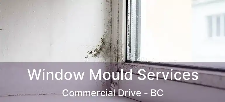  Window Mould Services Commercial Drive - BC