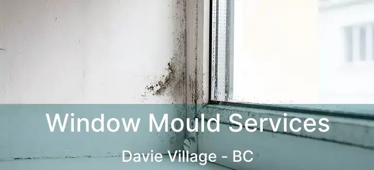  Window Mould Services Davie Village - BC