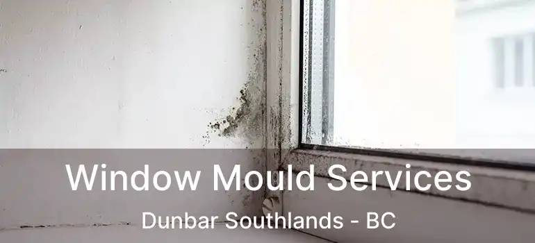  Window Mould Services Dunbar Southlands - BC