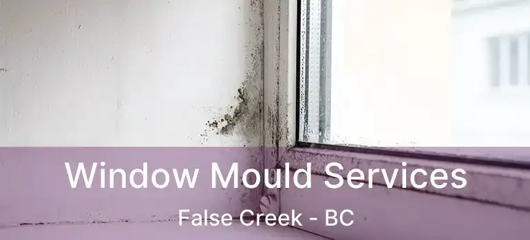  Window Mould Services False Creek - BC