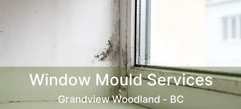  Window Mould Services Grandview Woodland - BC
